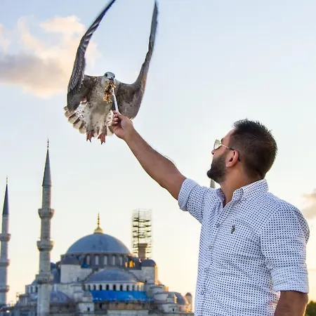 Отель Sarnic Premier