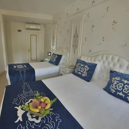 Sarnic Premier 4* Istanbulská provincie