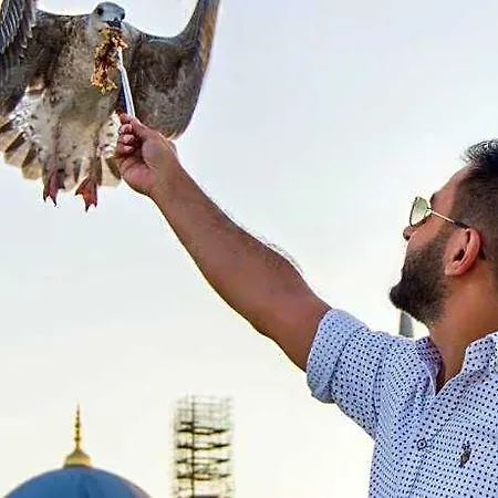 فندق Sarnic Premier اسطنبول