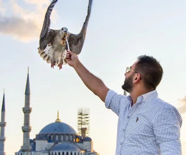 Hotel Sarnic Premier Hotel&spa